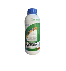 ALGAPOWER 1LT 