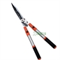 Forbice per siepi. Stars green