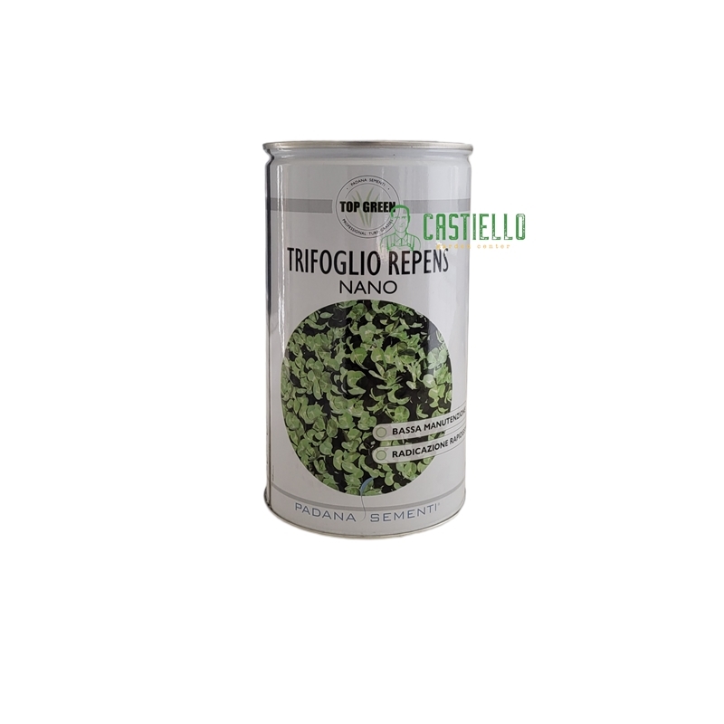 Trifoglio repens nano 500gr padana sementi