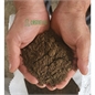 Zeofiore zeolite campana fine per terreno kg15 Zeofiore zeolite campana fine per terreno kg15