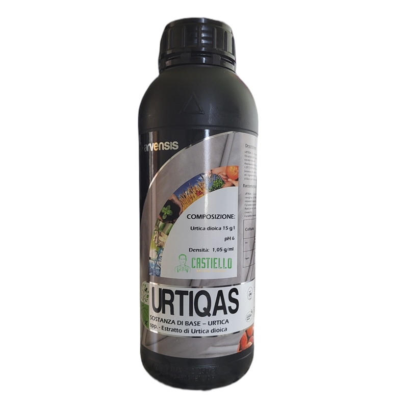 Urtiqas 1Ll arvensis Urtiqas 1Ll arvensis