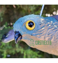 Falco in plastica resistente cm 52x35x10