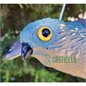 Falco in plastica resistente cm 52x35x10 Falco in plastica resistente cm 52x35x10