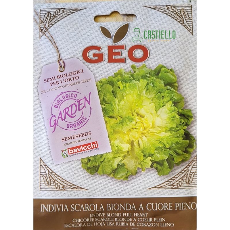 Indivia scarola bionda a cuore pieno bio geo 3gr Indivia scarola bionda a cuore pieno bio geo 3gr