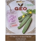 Cetriolo marketmore bio geo 2gr Cetriolo marketmore bio geo 2gr