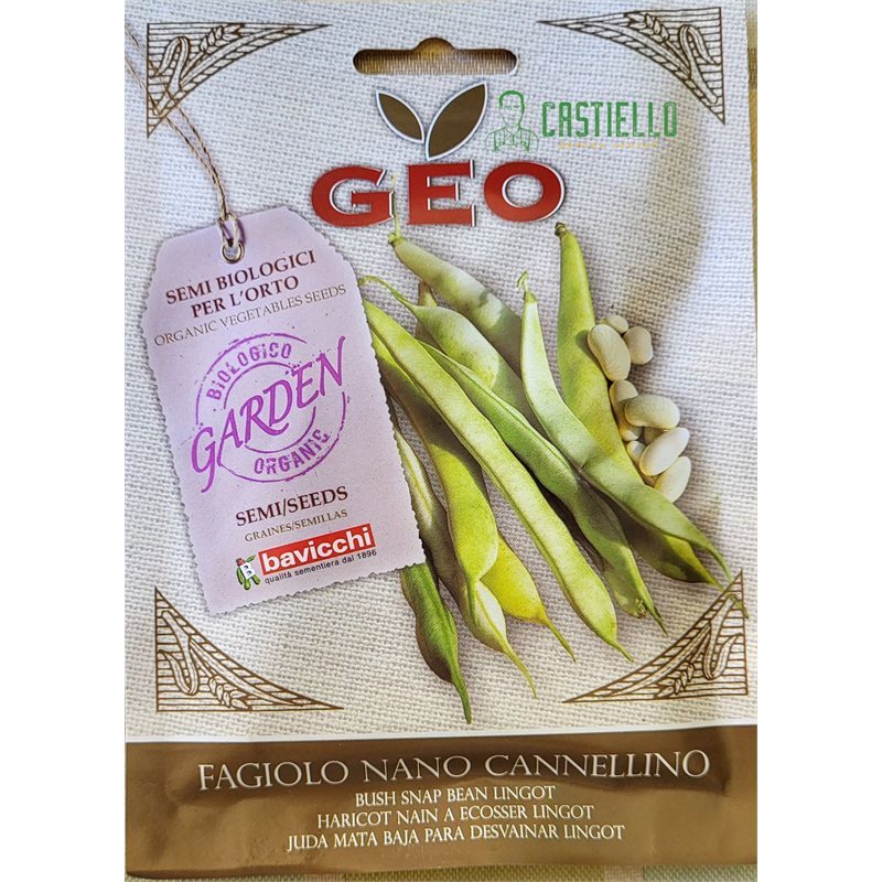 Fagiolo nano Cannellino bio geo Fagiolo nano Cannellino bio geo