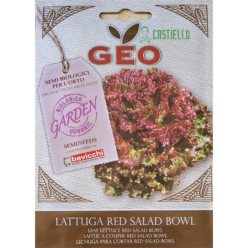 Lattuga red salad bowl bio geo 1,5gr Lattuga red salad bowl bio geo 1,5gr