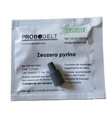 zeuzera pyrina