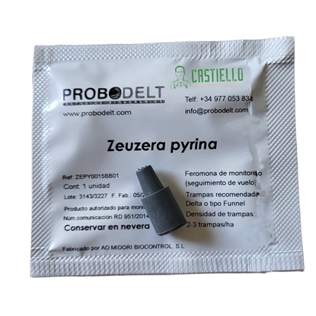 zeuzera pyrina