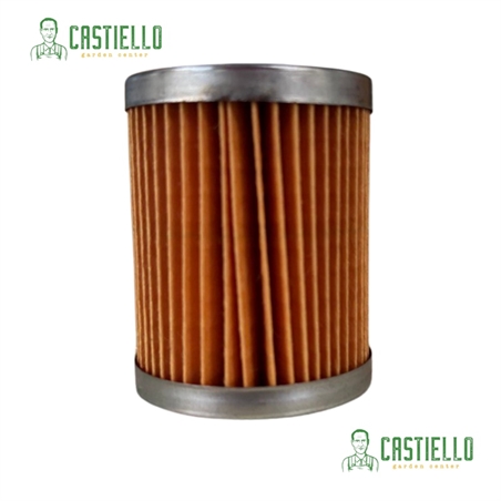 Filtro Nafta Lombardini Immerso