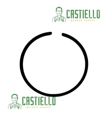 fascia elastica