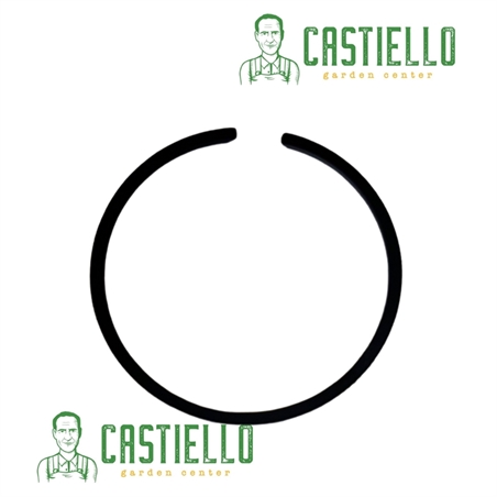 fascia elastica
