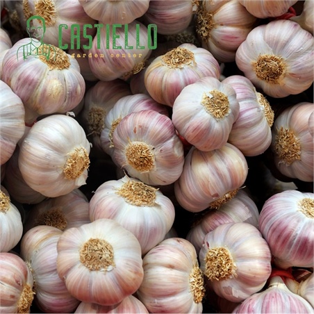 Progetto senza titolo (2)