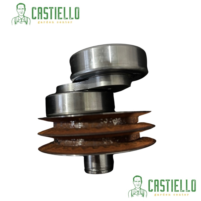 Eccentrico completo bilama p70 con cuscinetti eurosystems