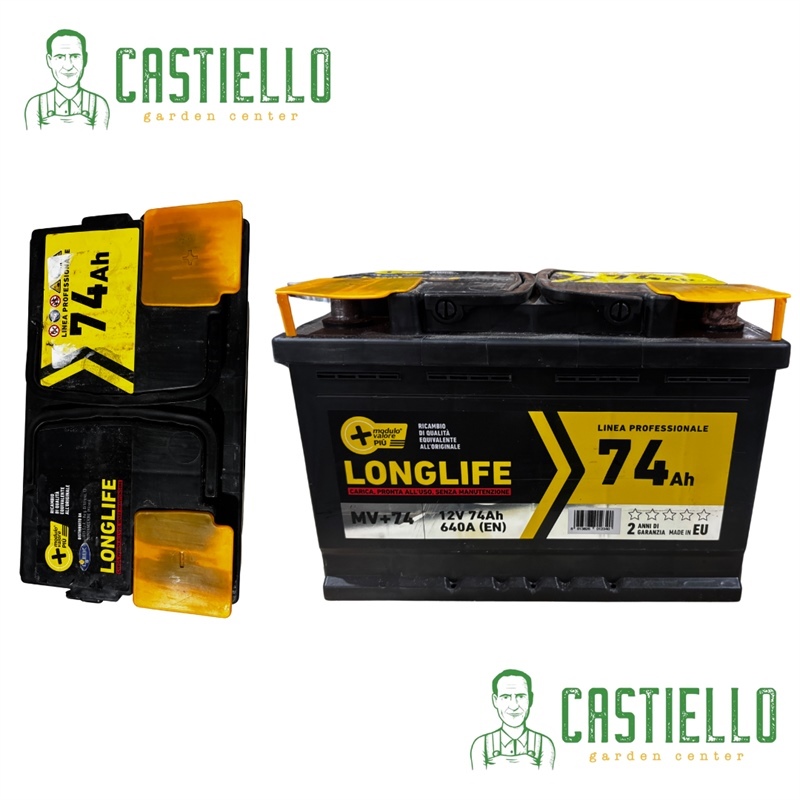 Batteria al piombo 74 AH 12volt scuotitori auto recinti