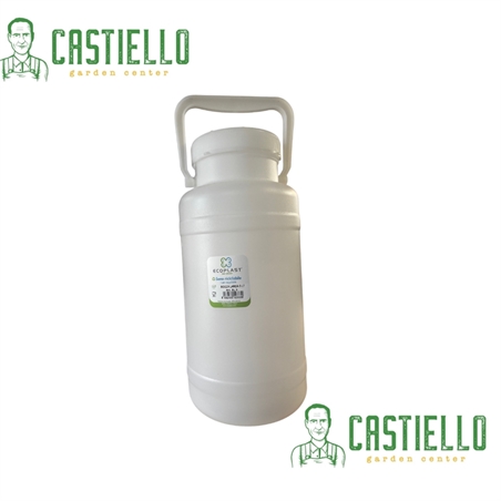 fusto