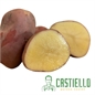Patate da seme Desiree buccia rossa pasta gialla