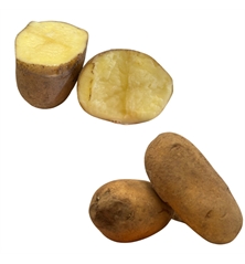 patata