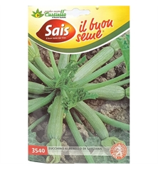 zucchino sarzana