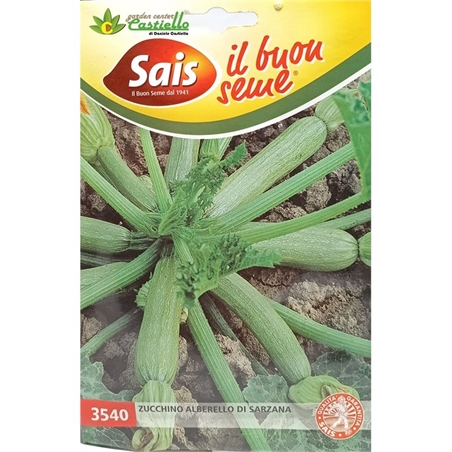 zucchino sarzana