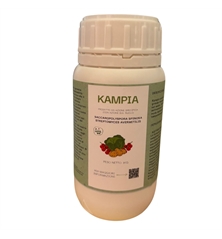 kampia 