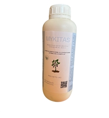 mykitas 1