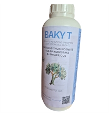 baky t 1