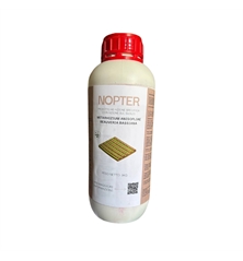 NOPTER 1