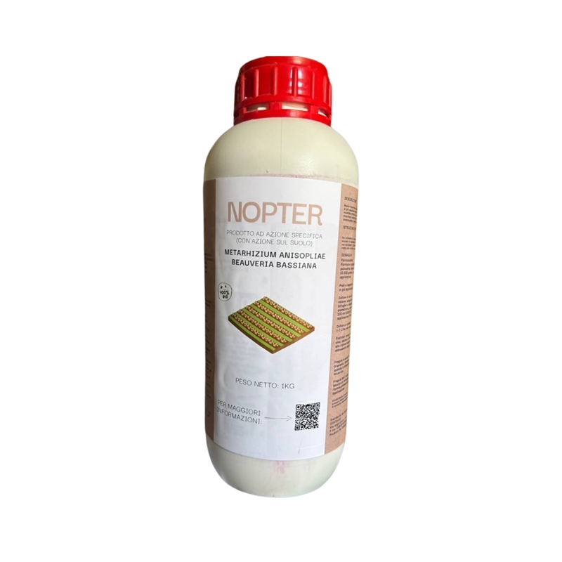 Nopter lt1 beauveria bassiana inoculo funghi LG