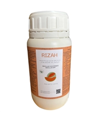 RIZAH