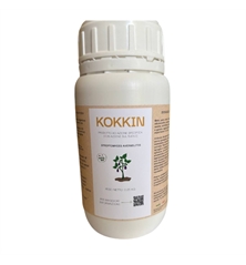 KOKKIN