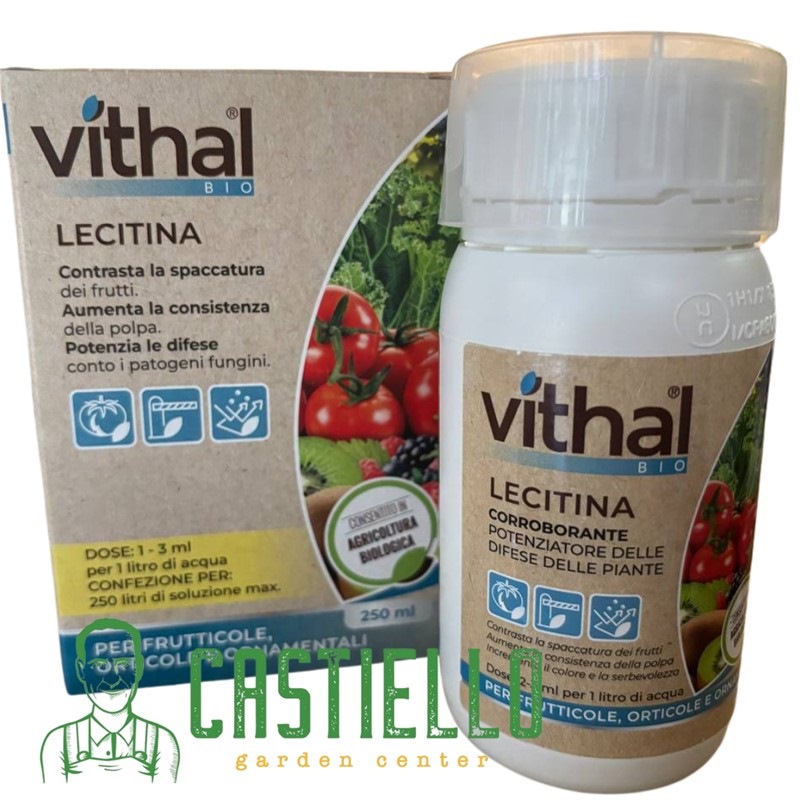 Corroborante Lecitina - Vithal Bio