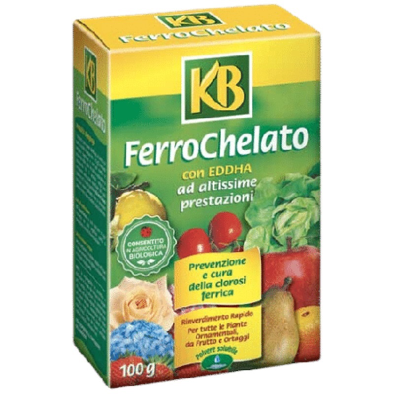 Ferro chelato ad altissime prestazioni vithal 100g Ferro chelato ad altissime prestazioni vithal 100g