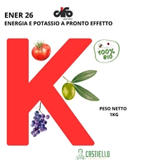 Progetto senza titolo (1)