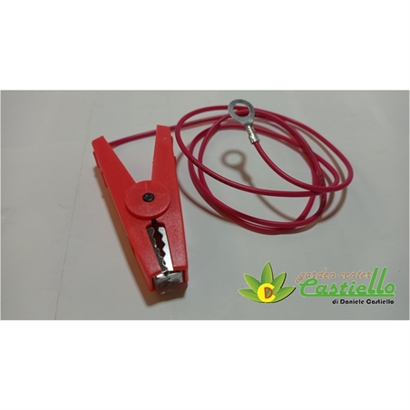 cavetto rosso
