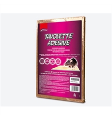 Progetto senza titolo (1)