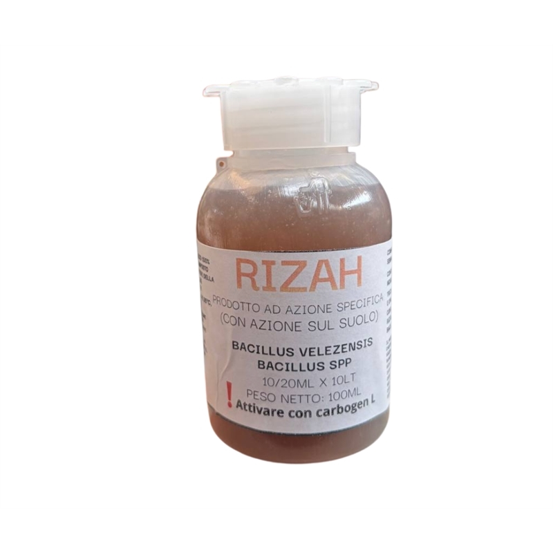 Rizah inoculo di B.Subtilis B.amyloliquefaciens ml100 LG Italia Rizah inoculo di B.Subtilis B.amyloliquefaciens ml100 LG Italia
