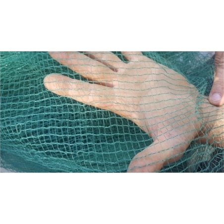 Rete olive e antiuccelli verde 4mt larga