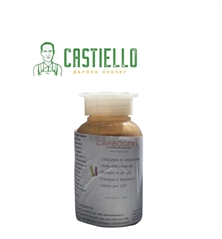 Progetto senza titolo (2)