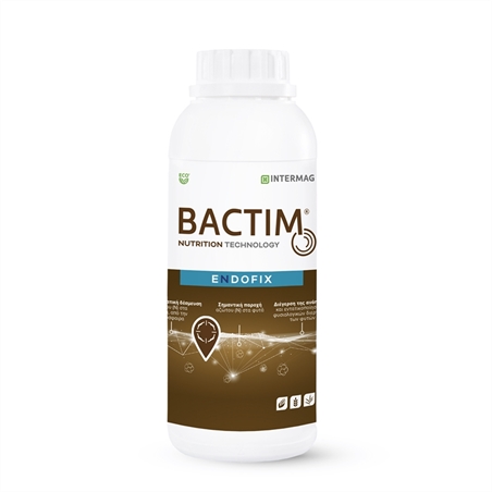 Bactim-Endofix-1L-GR