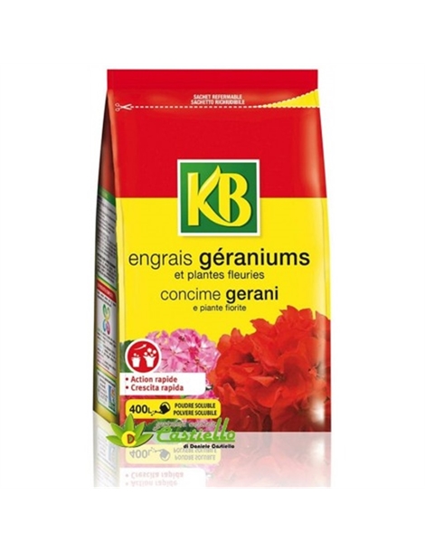 kb-concime-gerani