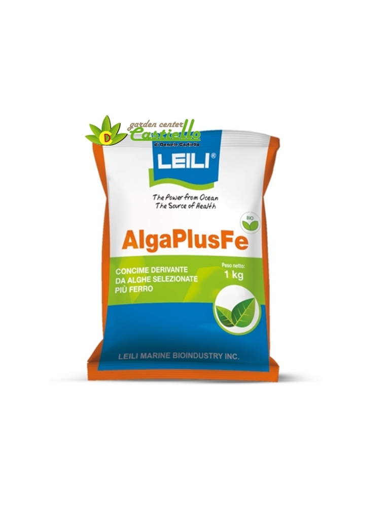 Algaplus ferro kg1 alghe marine