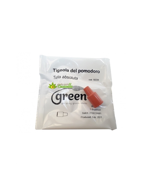 feromone-tignola-del-pomodoro-green-ravenna