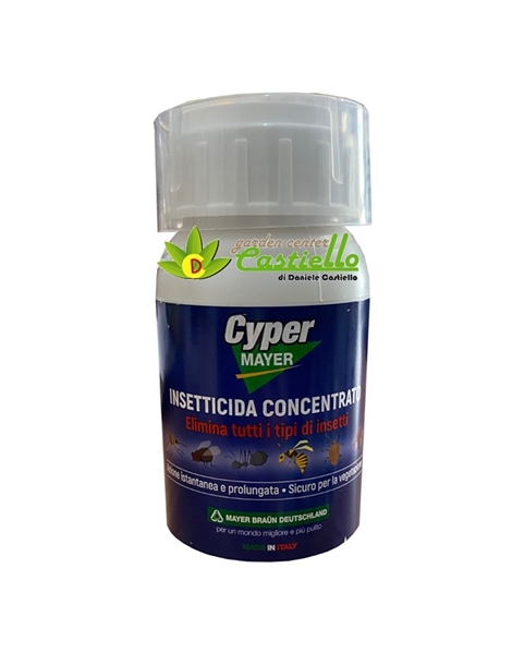 cyper