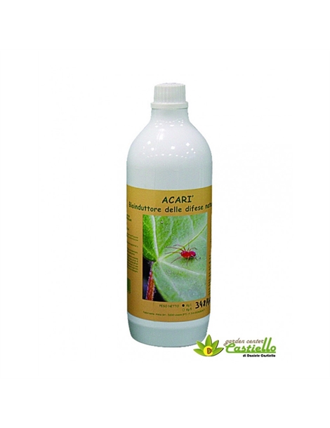 acari-bioinduttore-delle-difese-naturali-contro-ragnetti