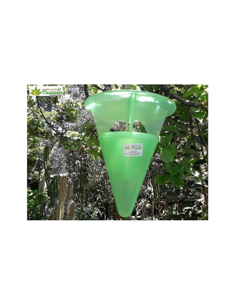 Trappola super care zeuzera pyrina