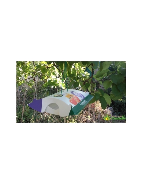 Trappola pomo control isagro per pesco
