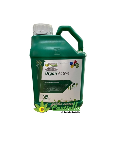 organ active