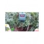 Misuratore combi per suolo Stocker S.R.L. Misuratore combi per suolo Stocker S.R.L.