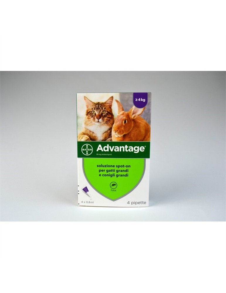 Advantage spot gatti e conigli grandi singola Advantage spot gatti e conigli grandi singola